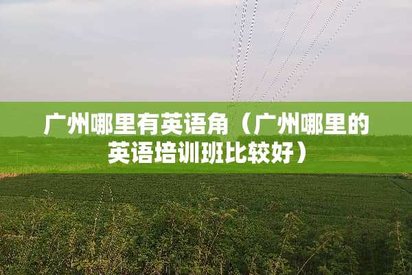 广州哪里有英语角（广州哪里的英语培训班比较好）