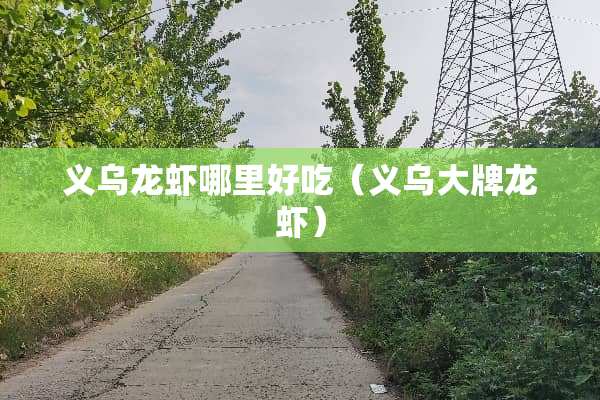 义乌龙虾哪里好吃（义乌大牌龙虾）