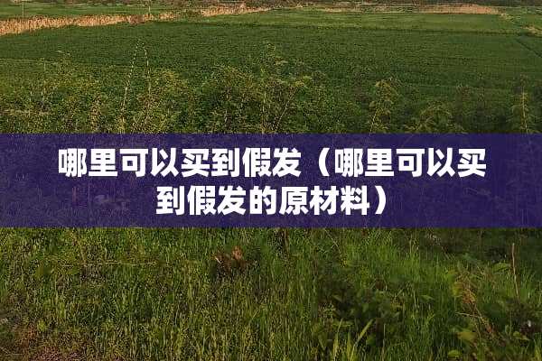 哪里可以买到假发（哪里可以买到假发的原材料）