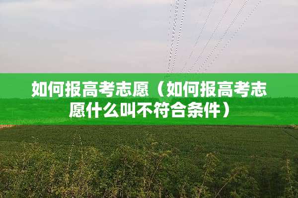 如何报高考志愿（如何报高考志愿什么叫不符合条件）