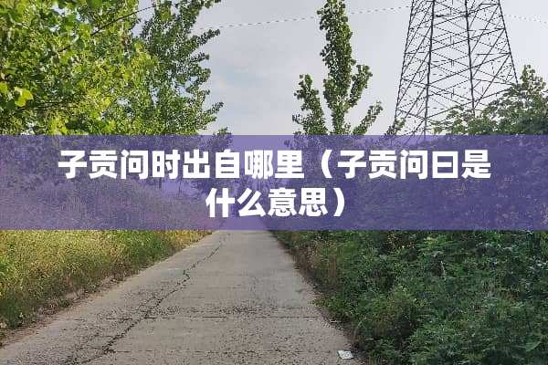 子贡问时出自哪里（子贡问曰是什么意思）