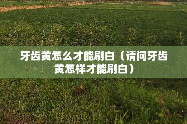 牙齿黄怎么才能刷白（请问牙齿黄怎样才能刷白）