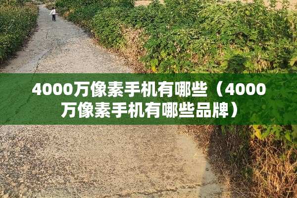 4000万像素手机有哪些（4000万像素手机有哪些品牌）