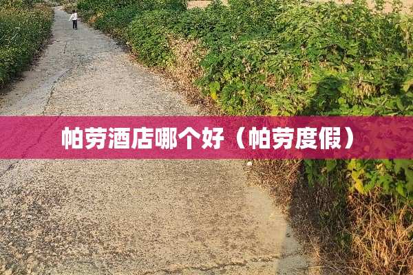 帕劳酒店哪个好（帕劳度假）