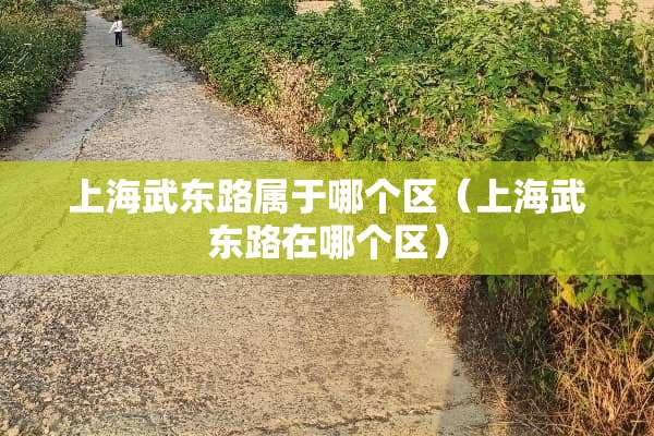 上海武东路属于哪个区（上海武东路在哪个区）