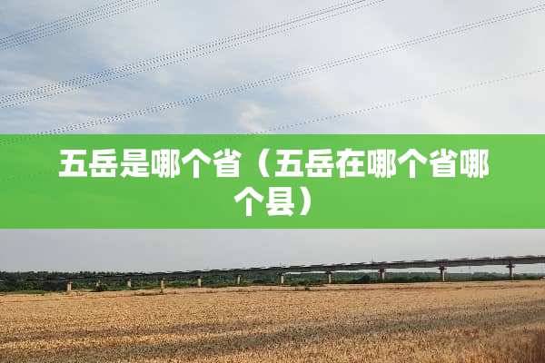 五岳是哪个省（五岳在哪个省哪个县）