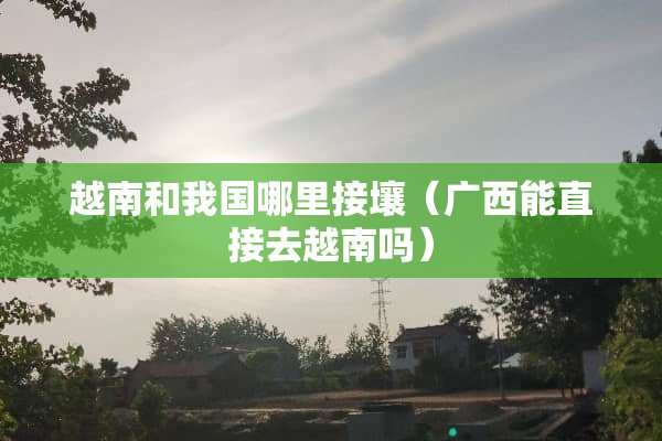 越南和我国哪里接壤（广西能直接去越南吗）