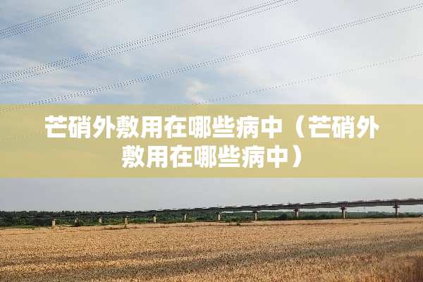 芒硝外敷用在哪些病中（芒硝外敷用在哪些病中）
