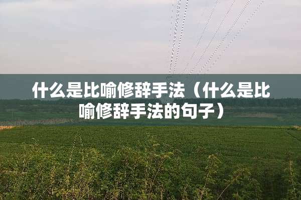什么是比喻修辞手法（什么是比喻修辞手法的句子）
