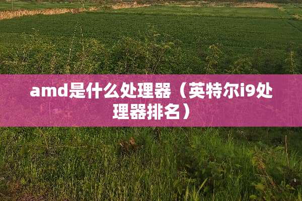 amd是什么处理器（英特尔i9处理器排名）