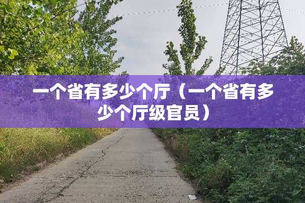 一个省有多少个厅（一个省有多少个厅级官员）