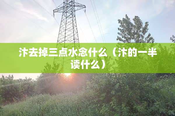 汴去掉三点水念什么（汴的一半读什么）