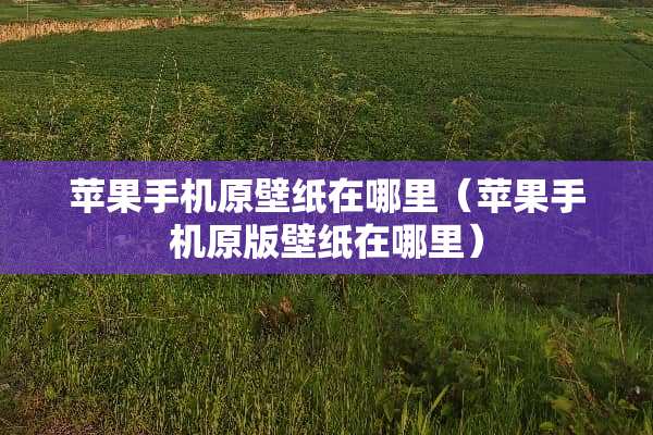 苹果手机原壁纸在哪里（苹果手机原版壁纸在哪里）