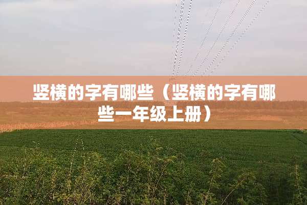 竖横的字有哪些（竖横的字有哪些一年级上册）