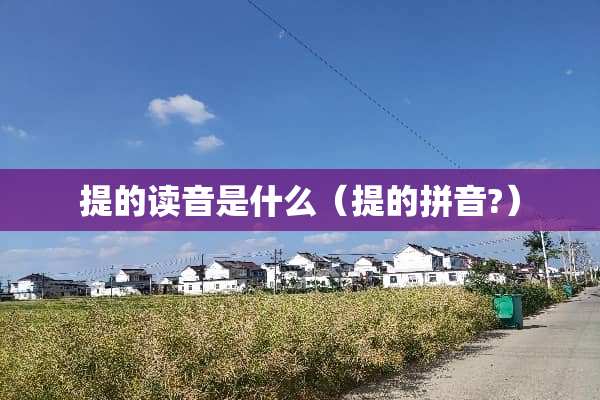 提的读音是什么（提的拼音?）