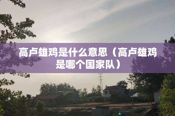 高卢雄鸡是什么意思（高卢雄鸡是哪个国家队）