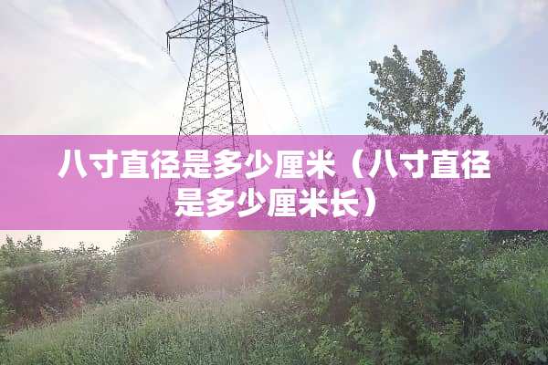 八寸直径是多少厘米（八寸直径是多少厘米长）
