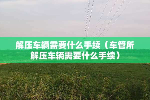 解压车辆需要什么手续（车管所解压车辆需要什么手续）