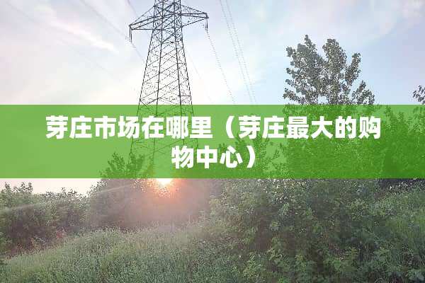 芽庄市场在哪里（芽庄最大的购物中心）