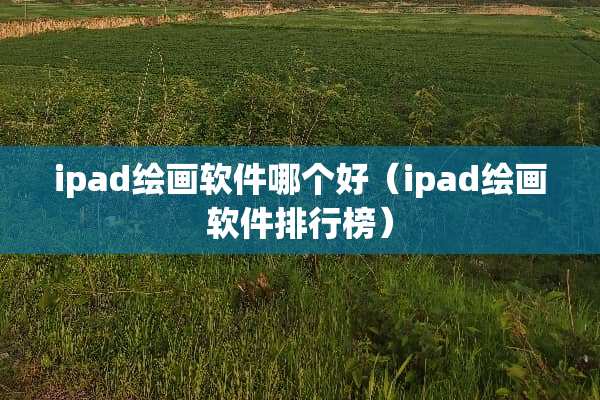 ipad绘画软件哪个好（ipad绘画软件排行榜）