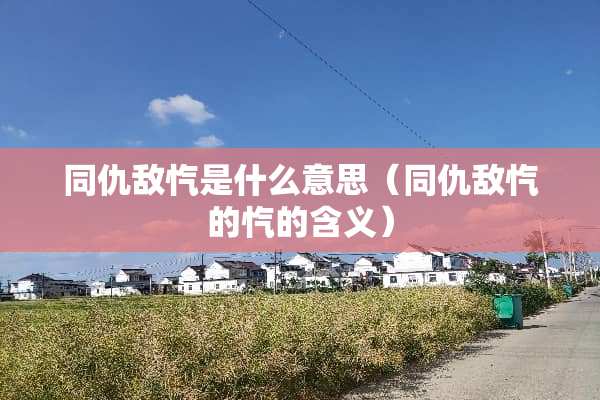 同仇敌忾是什么意思（同仇敌忾的忾的含义）