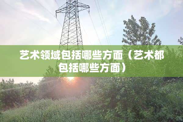 艺术领域包括哪些方面（艺术都包括哪些方面）