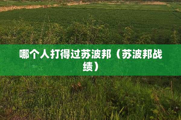 哪个人打得过苏波邦（苏波邦战绩）