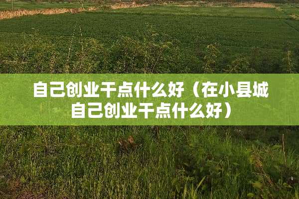 自己创业干点什么好（在小县城自己创业干点什么好）