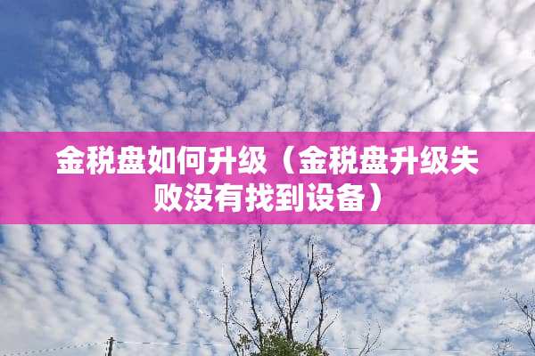 金税盘如何升级（金税盘升级失败没有找到设备）
