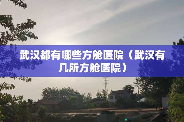 武汉都有哪些方舱医院（武汉有几所方舱医院）