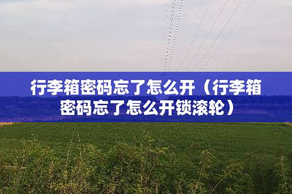 行李箱密码忘了怎么开（行李箱密码忘了怎么**滚轮）