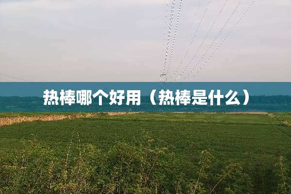 热棒哪个好用（热棒是什么）