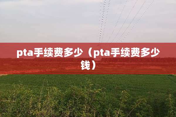 pta手续费多少（pta手续费多少钱）