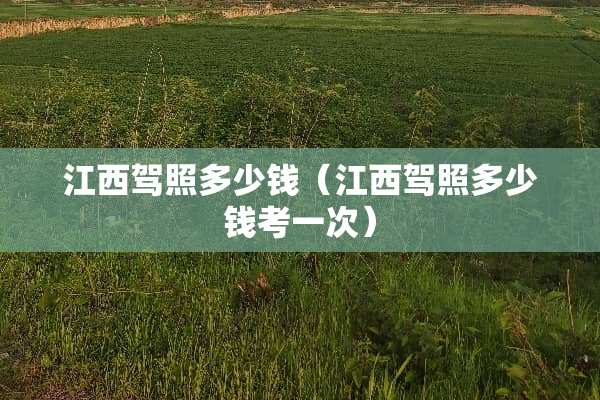 江西驾照多少钱（江西驾照多少钱考一次）