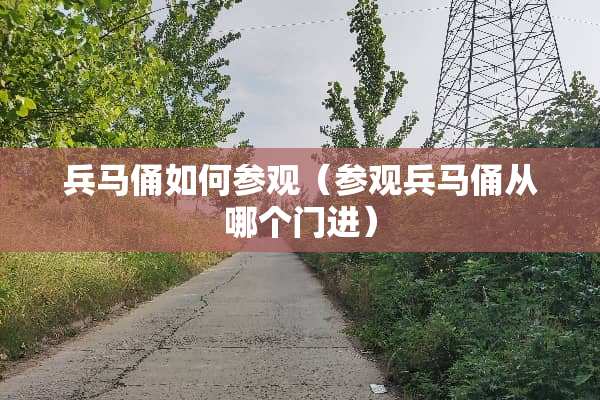 兵马俑如何参观（参观兵马俑从哪个门进）
