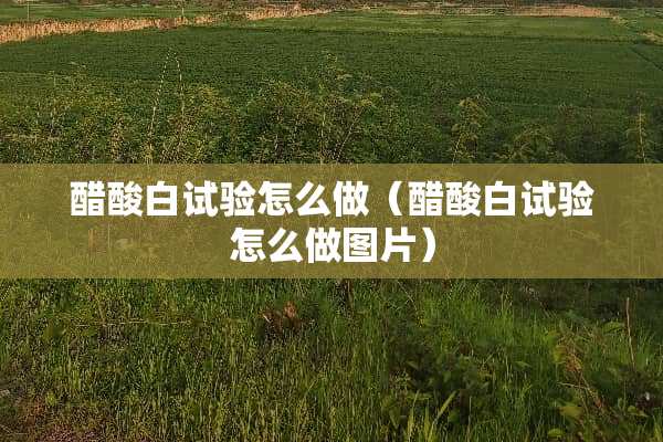 醋酸白试验怎么做（醋酸白试验怎么做图片）