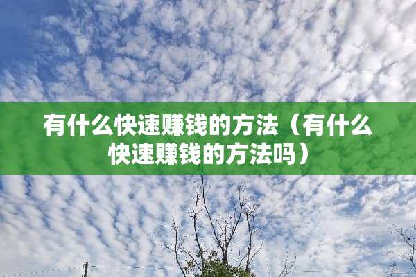 有什么快速赚钱的方法（有什么快速赚钱的方法吗）