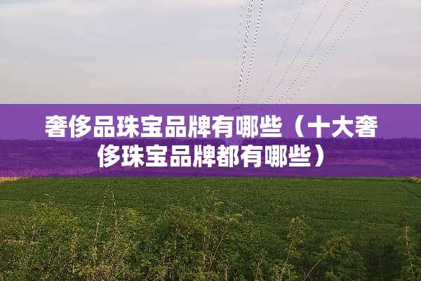 奢侈品珠宝品牌有哪些（十大奢侈珠宝品牌都有哪些）