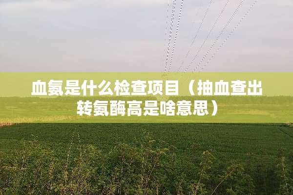 血氨是什么检查项目（抽血查出转氨酶高是啥意思）