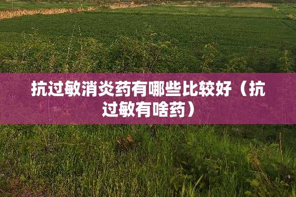 抗过敏消炎药有哪些比较好（抗过敏有啥药）