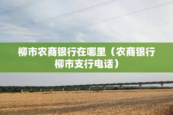 柳市农商银行在哪里（农商银行柳市支行电话）