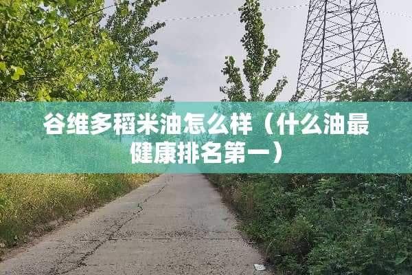 谷维多稻米油怎么样（什么油最健康排名第一）