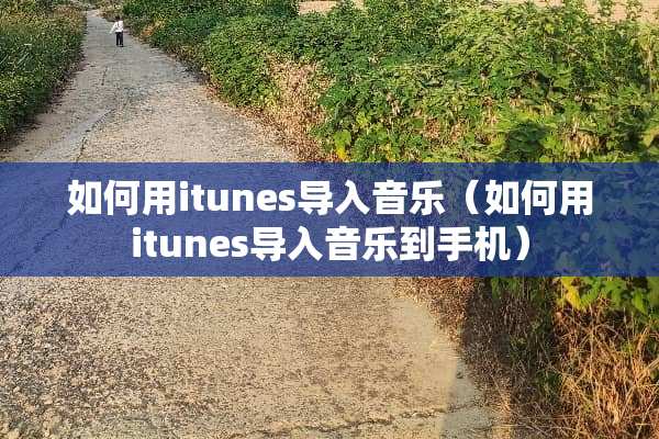 如何用itunes导入音乐（如何用itunes导入音乐到手机）