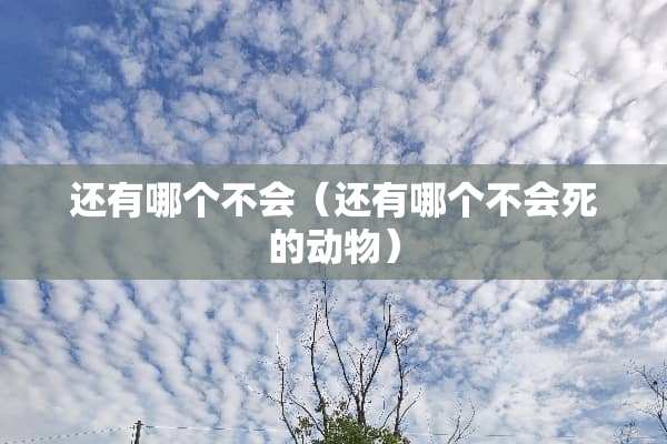 还有哪个不会（还有哪个不会死的动物）