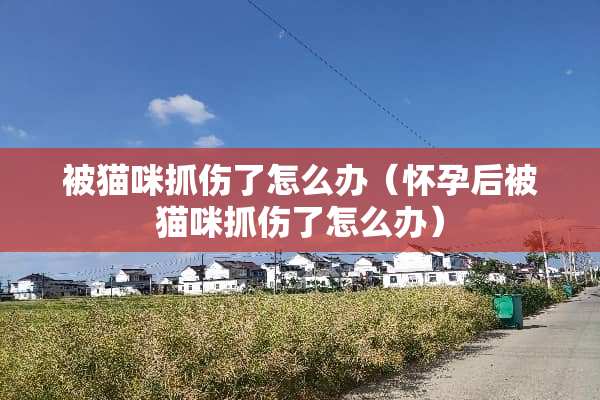 被猫咪抓伤了怎么办（怀孕后被猫咪抓伤了怎么办）