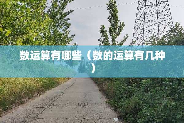 数运算有哪些（数的运算有几种）