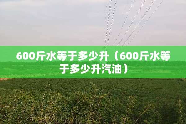 600斤水等于多少升（600斤水等于多少升汽油）