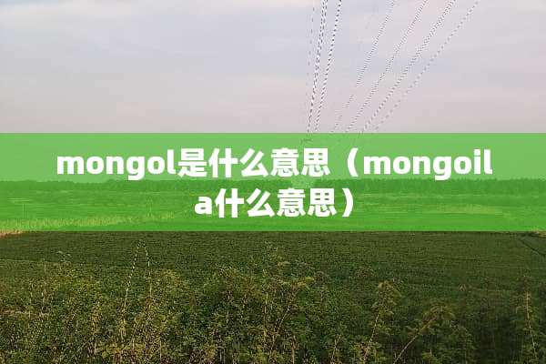 mongol是什么意思（mongoila什么意思）