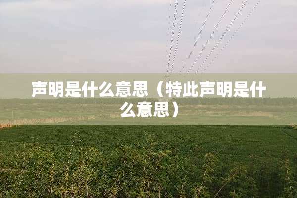 声明是什么意思（特此声明是什么意思）