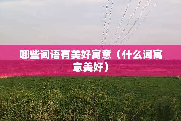哪些词语有美好寓意（什么词寓意美好）